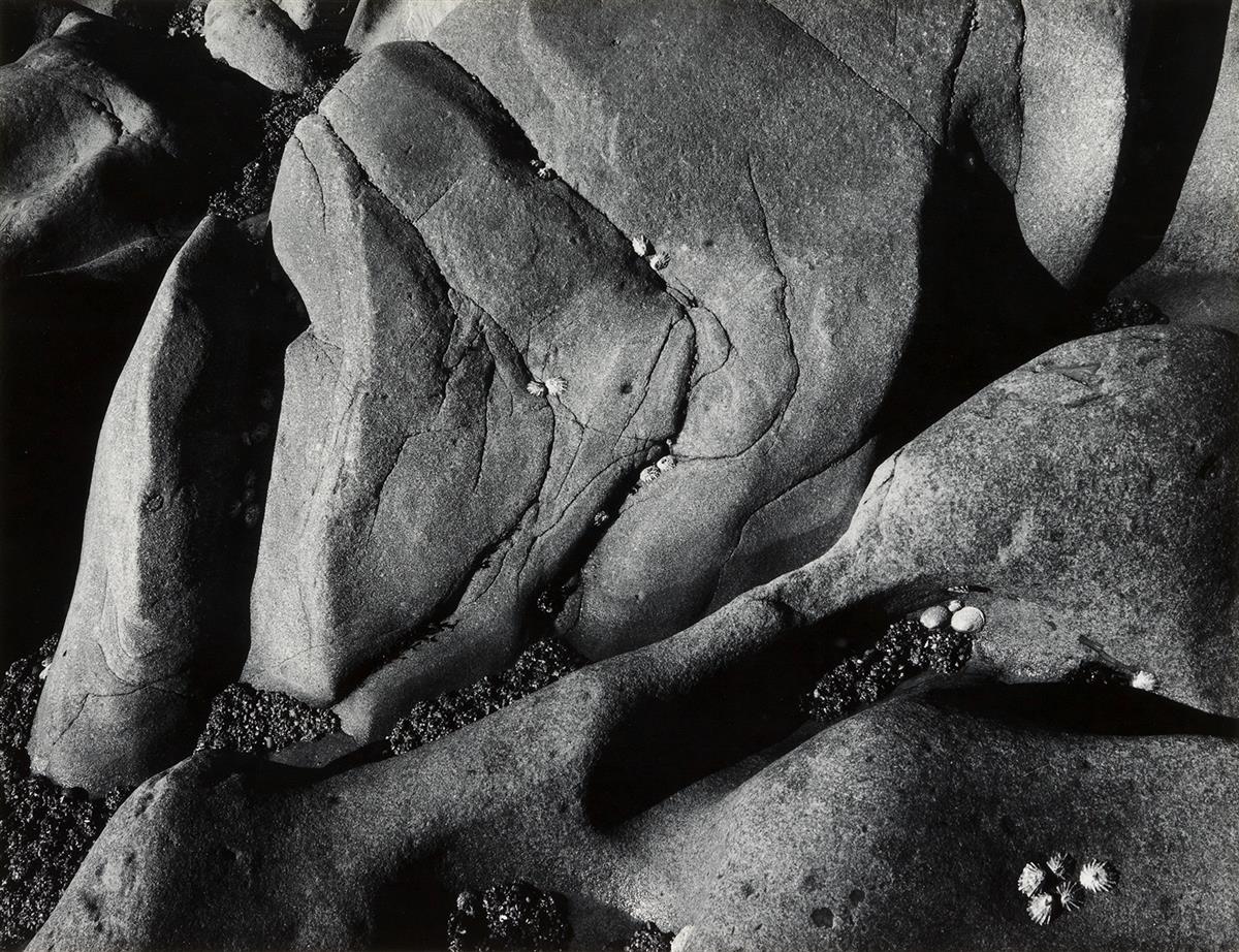 ANSEL ADAMS (1902-1984) Rocks and Limpets, Point Lobos, California.
